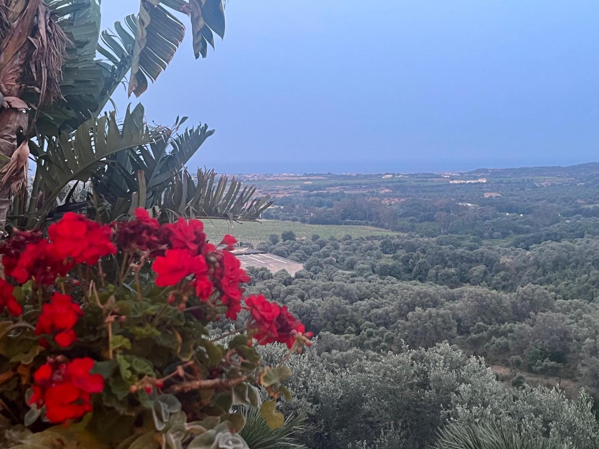 Agriturismo Catena Ciro Bagian luar foto